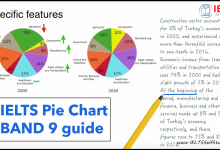 Answering IELTS writing task describing a pie chart