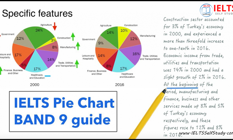 Answering IELTS writing task describing a pie chart